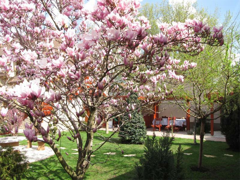 HajdúszoboszlóSzegfu Apartman别墅 外观 照片